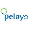 pelayo seguros